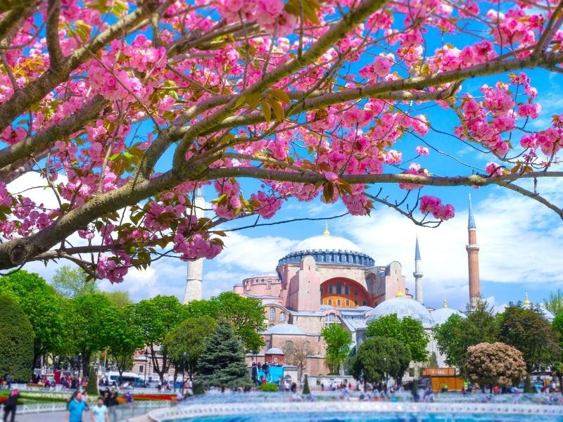 <p>Tour Istanbul</p>